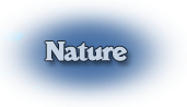 nuraghe